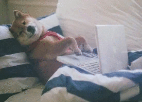 email email