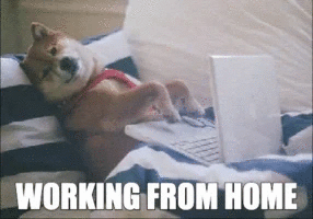 ezgif.com-gif-maker (2) 4 Essential Tools for Managing a Distributed Team